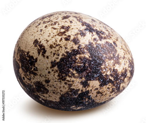 quail  egg isolated on white background