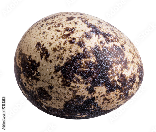 quail  egg isolated on white background