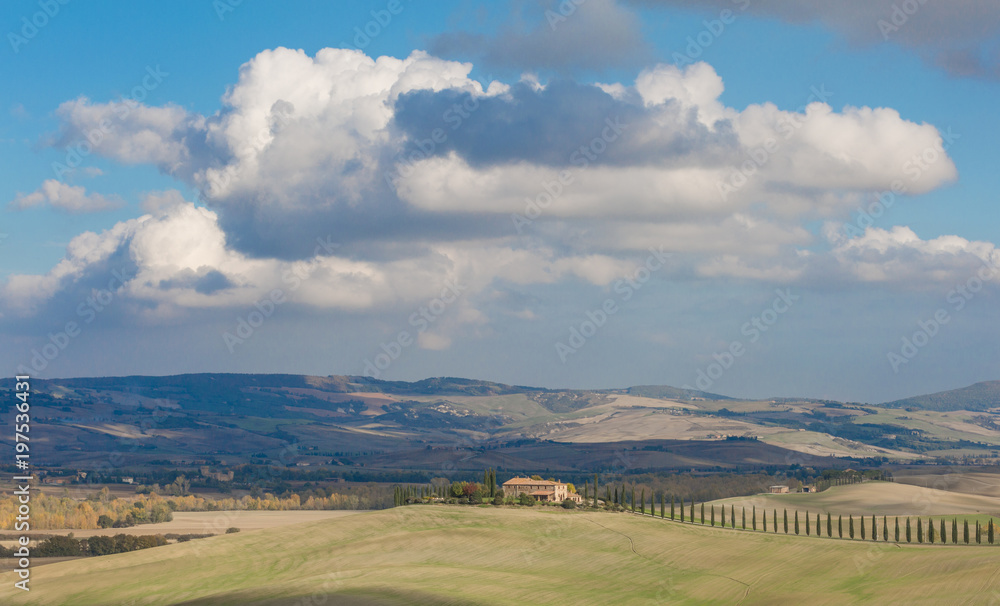 Naklejka premium Sunny fields in Tuscany, Italy