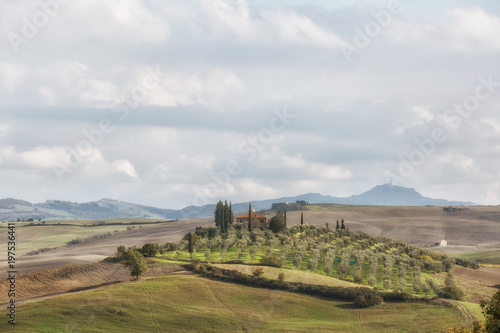 Sunny fields in Tuscany  Italy