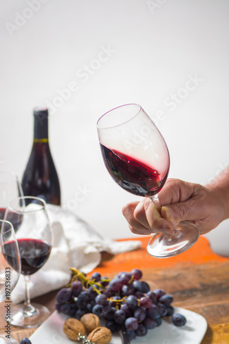 Professional red wine tasting event with high quality wine glasses and wine accessories