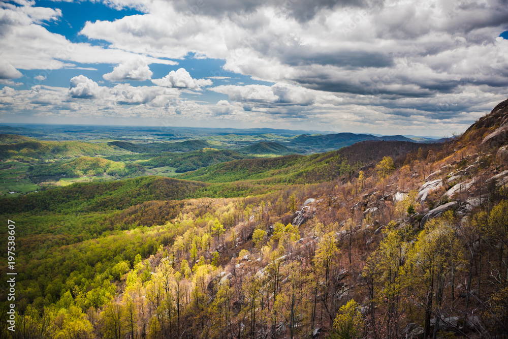 Fototapeta premium Old Rag Mountain Hike in Shenandoah National Park