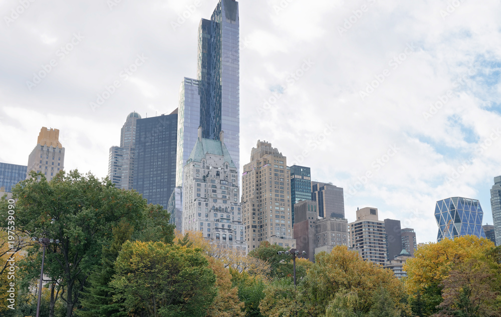 City skyline from a park, New York