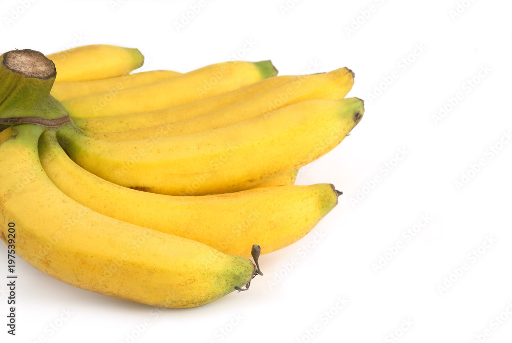 Gros Michel banana on white background. Sweet taste fruit.