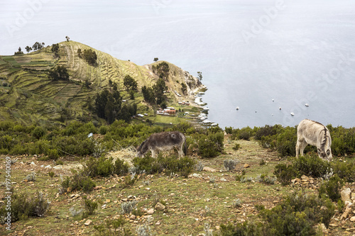 Isla del Sol on lake Titica...