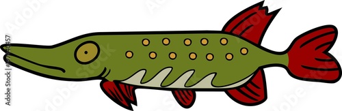 Drawing of stylized pike a long-bodied predatory freshwater fish on white background