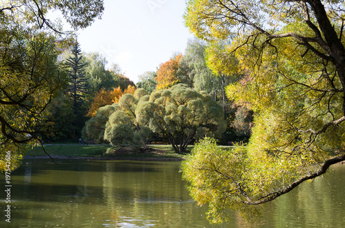 landscape of grass field in parkwith green tree and water pond photo