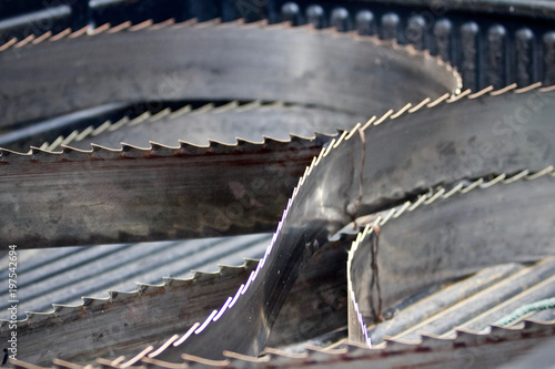 Giant band saw blade