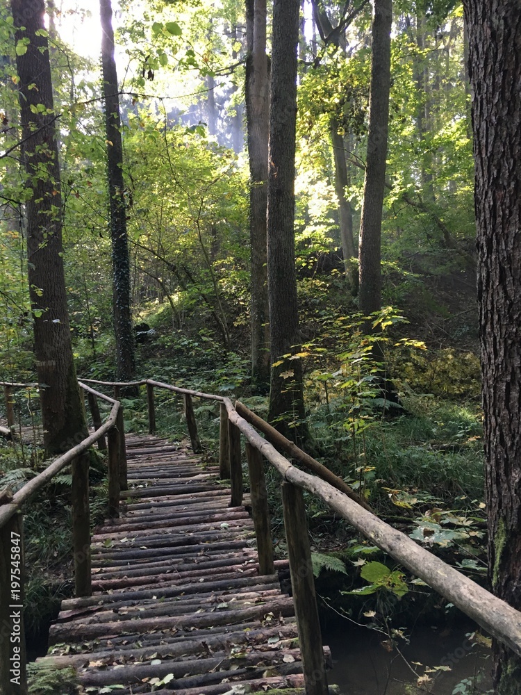 Obraz premium Märkische Schweiz 