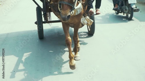 A horse pulls a a carriage full of tourists around Ben Treh Province in Vietnam in slow motion photo