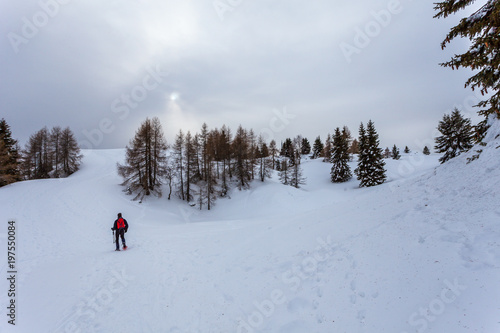 Man walking with snowshoes on a snowy slope on a gray day, with a pale sun, Col Visentin, Belluno, Italy