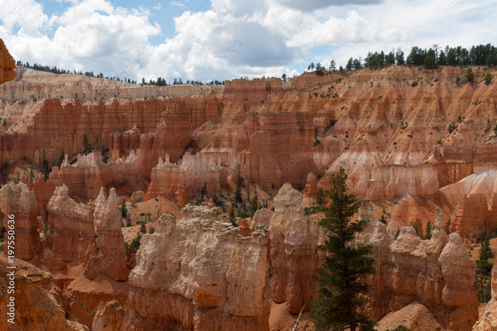 Bryce Canyon 67