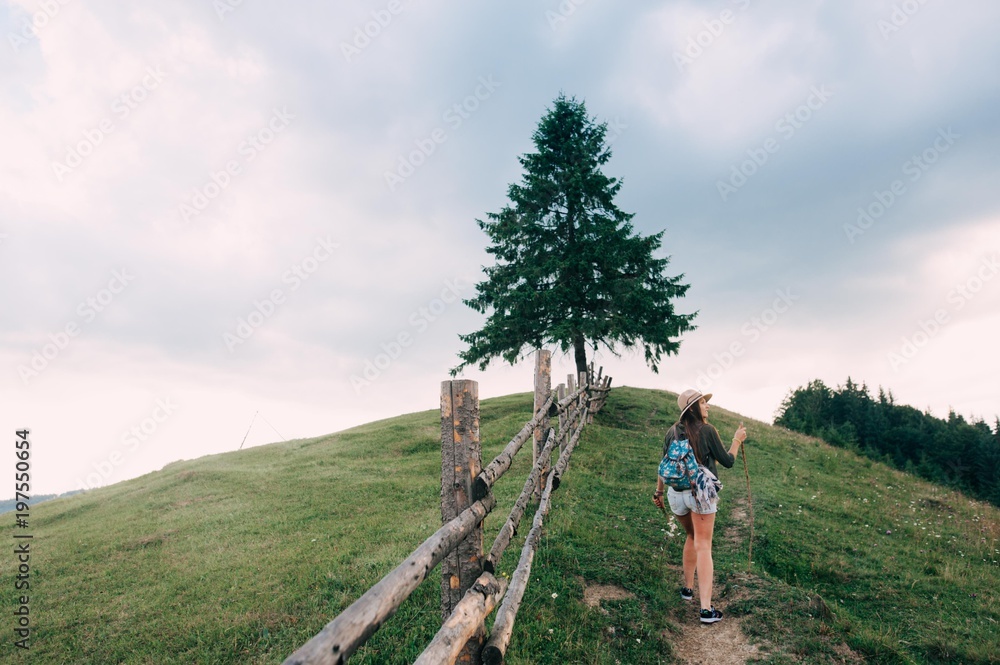 Girl in hat and with backpack is walking on a mountain trail, alone tree on background Girl in hat and with backpack is walking on a mountain trail, alone tree on background