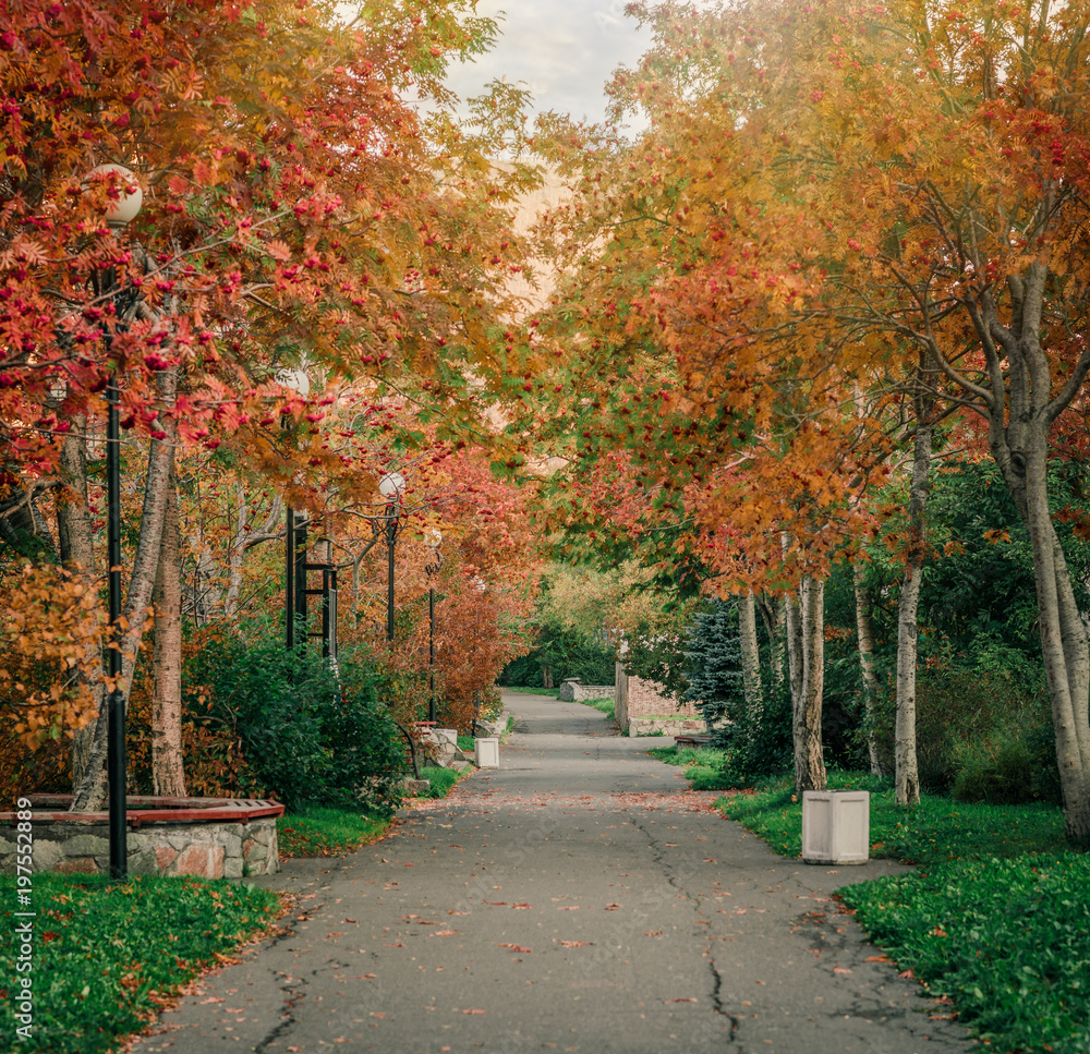 Naklejka premium walk in park