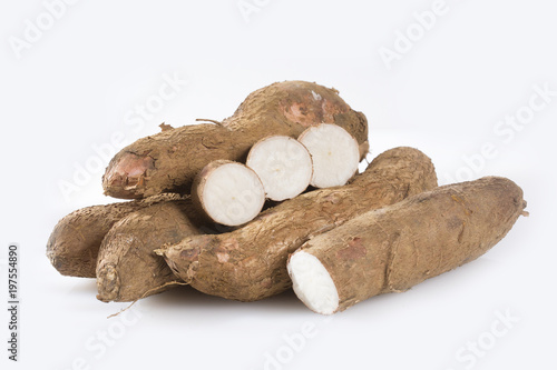 Cassava raw tuber - Manihot esculenta
