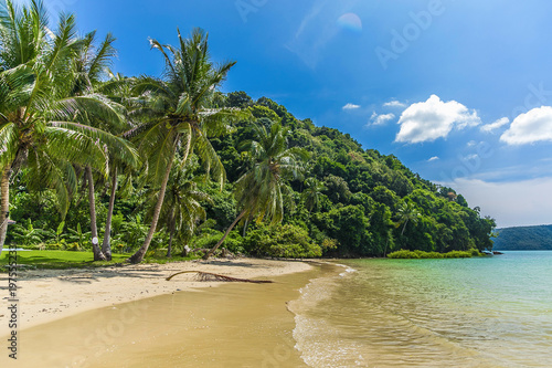 вид на пляж у моря и пальмы на острове Пхукет в Таиланде 