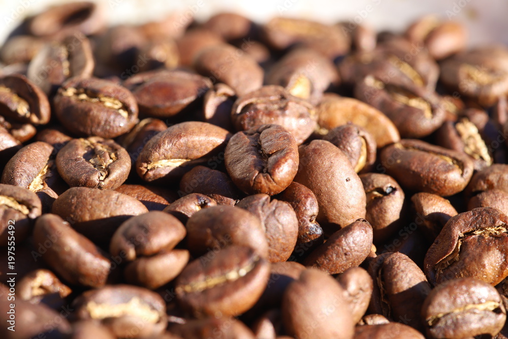 Fototapeta premium coffee beans