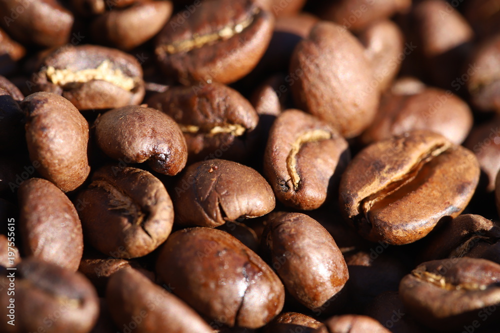 coffee beans coffee beans