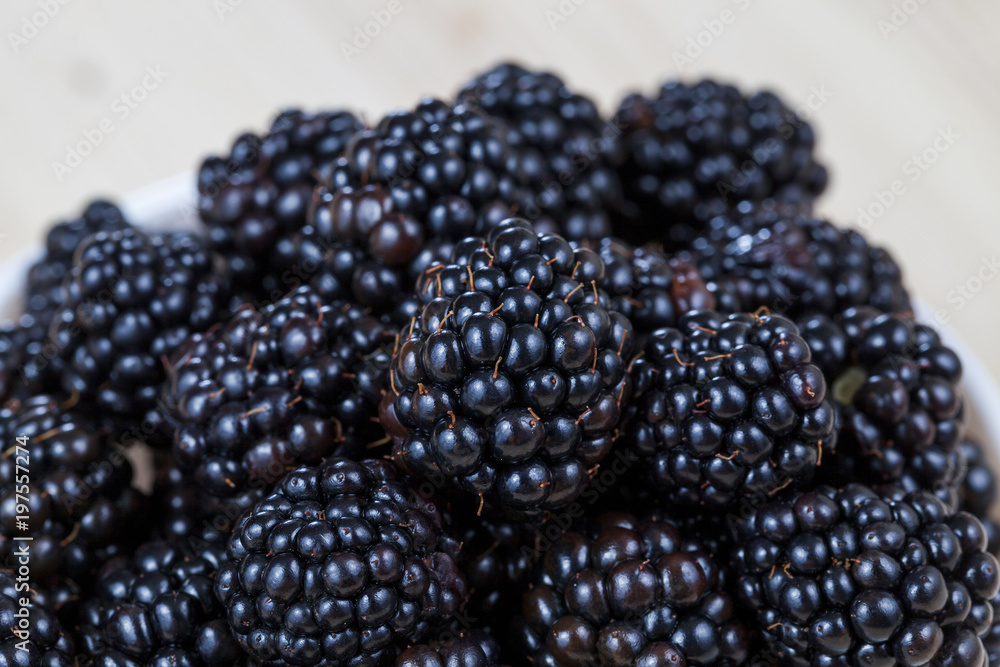black fresh blackberries black fresh blackberries
