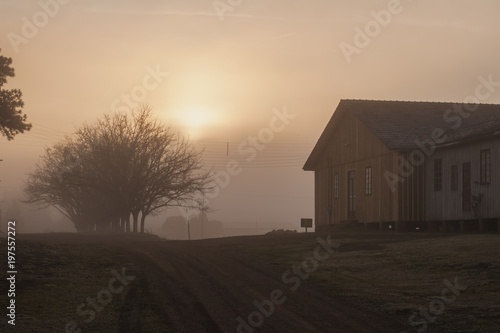 Frozen landscape with fog early in the morning, sun rising behind the clouds. Wooden house and dry trees. Frei Rogério, Santa Catarina / Brazil