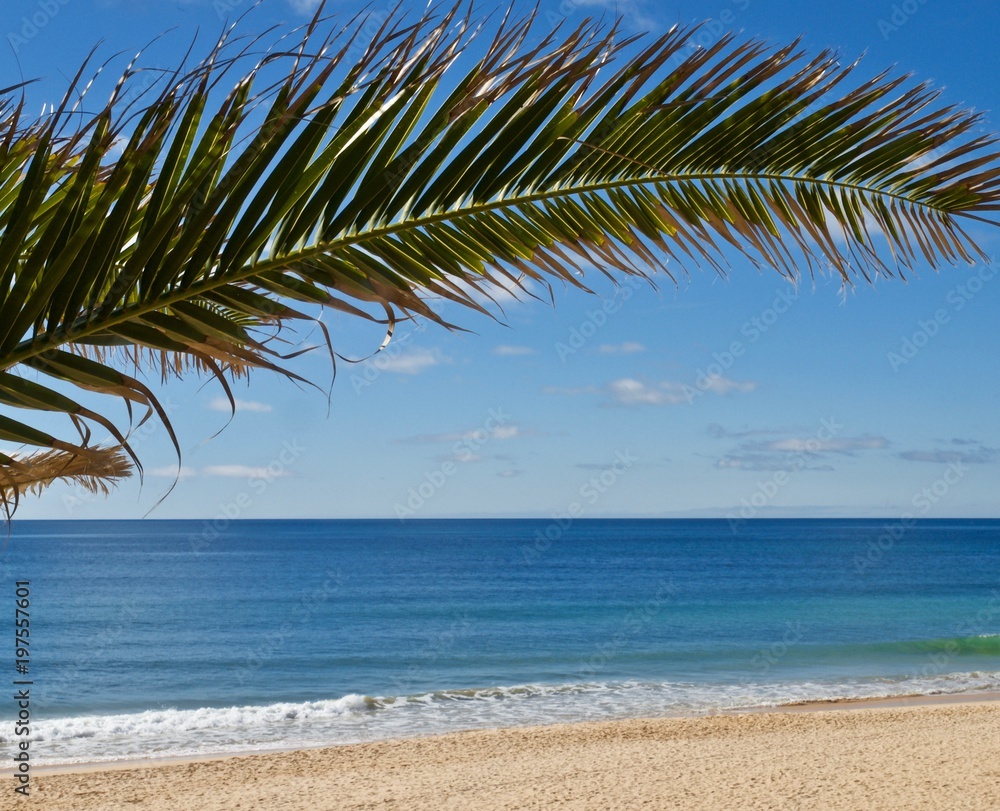 Feiner Sandstrand, Meer und ein Palmblatt vor blauem Himmel