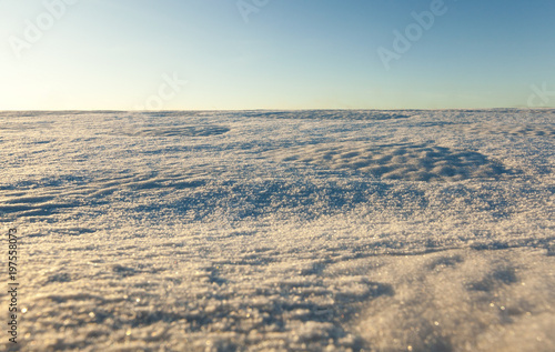 snow-covered field