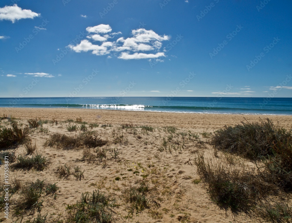 Dünen, schöner Sandstrand und blaues Meer