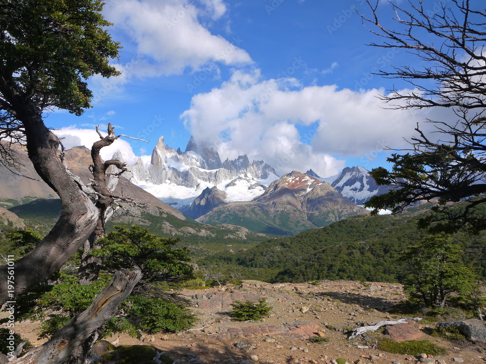 The trail towards Laguna Torre near El Chalten Patagonia Argentina