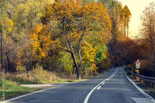 Awesome view of the asphalt road in the autumn scenery.