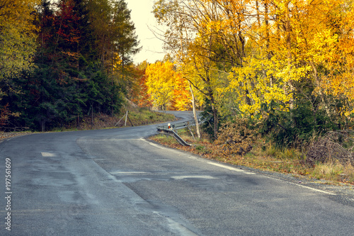 Awesome view of the asphalt road in the autumn scenery.