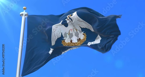 Flag of american state of Louisiana, region of the United States, waving at wind - loop photo