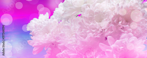 Surrealism Banner bouquet of white chrysanthemums on pink Vintage background.