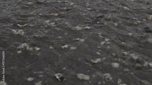 waves on the beach of shells. Close up