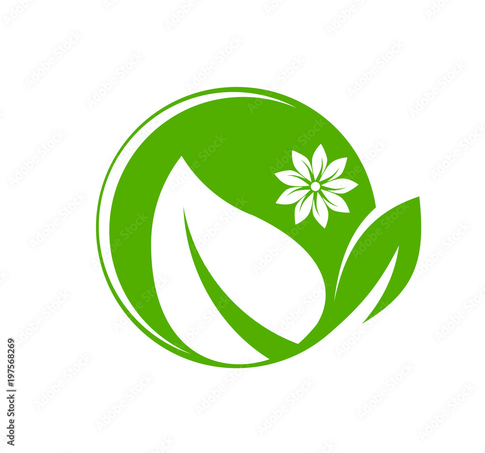 Fototapeta premium leaf logo design for nature icon or agriculture product