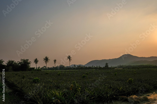 Sunset in the countryside 