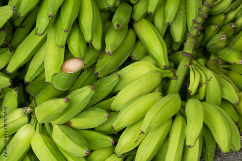 pile of green banana , cooking bananas or plantain