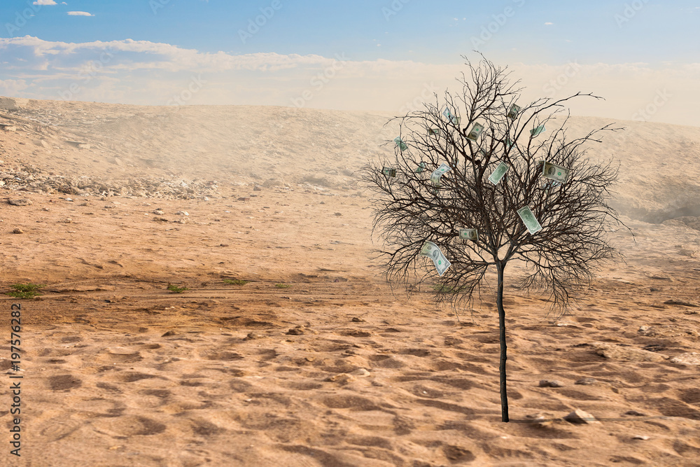 Lonely green tree in the desert. Mixed media