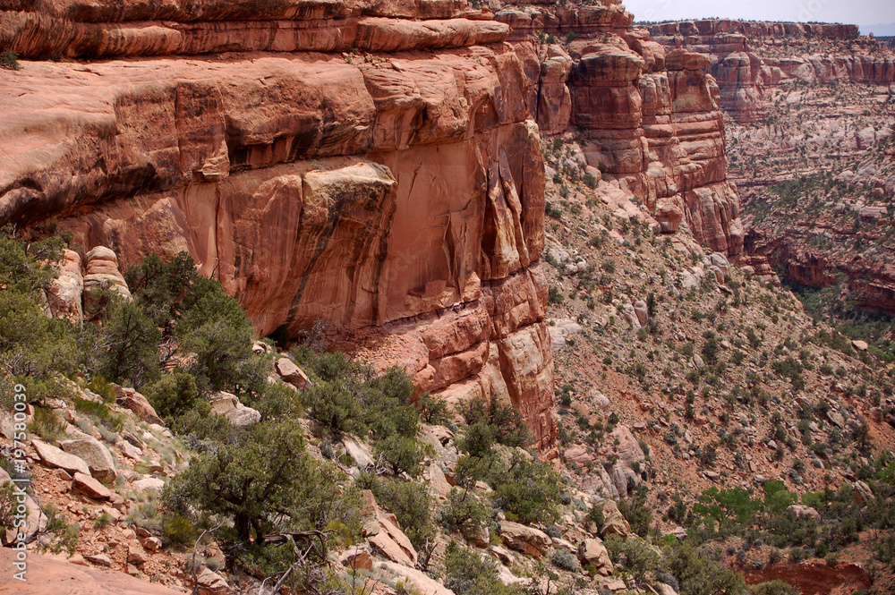 Cliff face with and ancient Anizasi ruin in the Bears Ears wilderness of Southern Utah. 