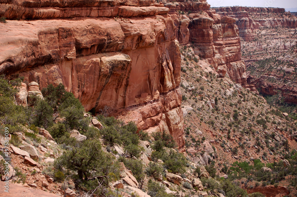 Cliff face with and ancient Anizasi ruin in the Bears Ears wilderness of Southern Utah. Cliff face with and ancient Anizasi ruin in the Bears Ears wilderness of Southern Utah.