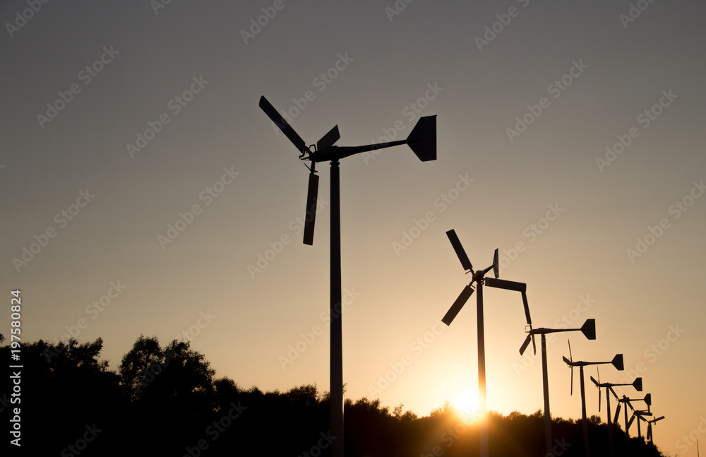 Obraz premium Windmills