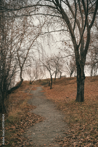 The Autumn Road © Ana Mallen