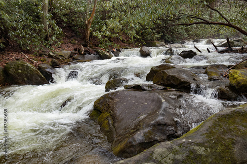 Hen Wallow Creek in the Great Smoky Mountains Natioal Park