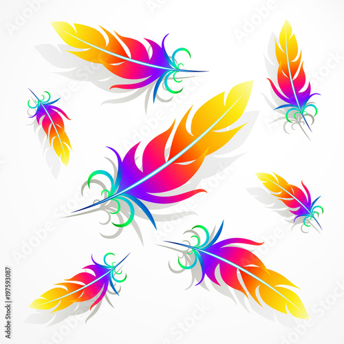 rainbow feathers with shadows on a light gray background