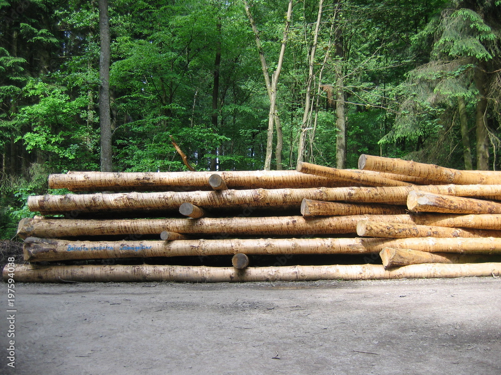 Betreten Vorboten - gestapelte Holzstämme im Wald Betreten Vorboten - gestapelte Holzstämme im Wald