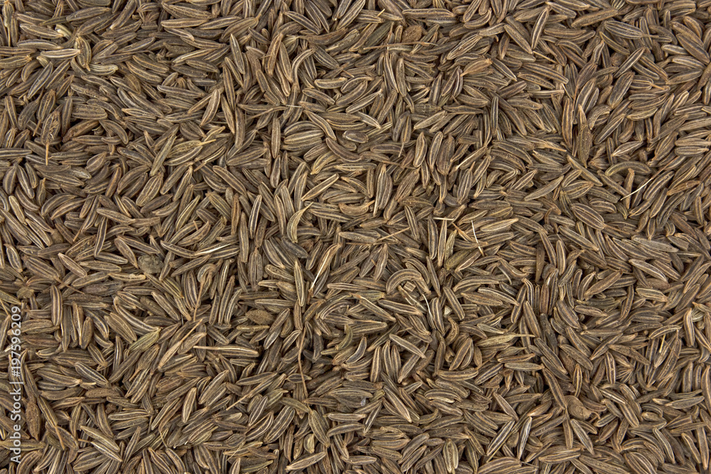 Cumin seeds texture, full frame background Cumin seeds texture, full frame background