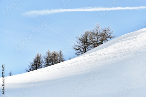 Wallpaper Mural Pendio nevoso con gli alberi sullo sfondo Torontodigital.ca