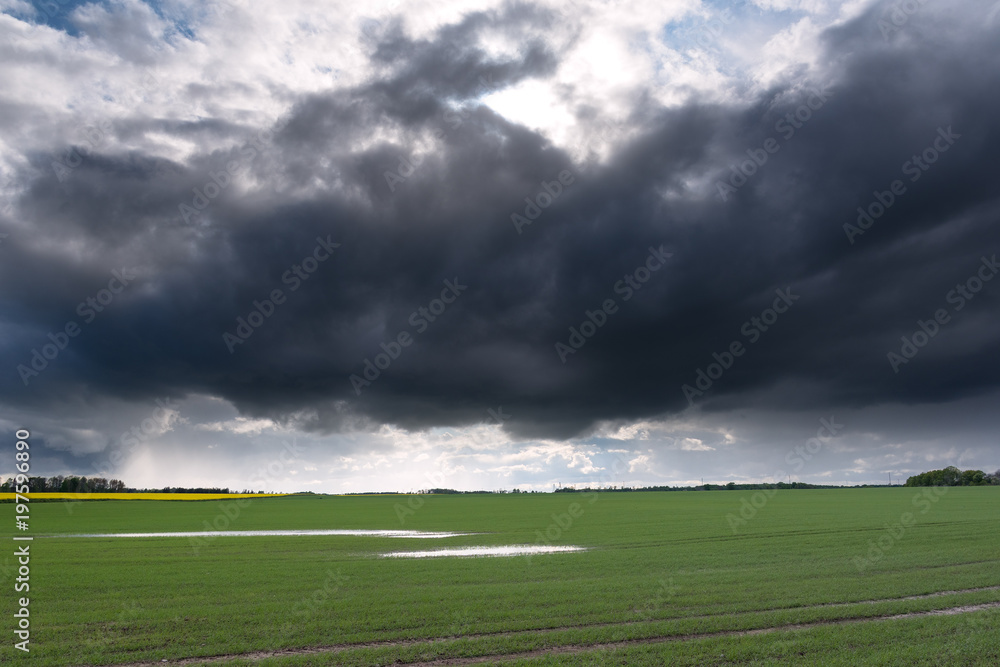 Agricultural landscape after rain.