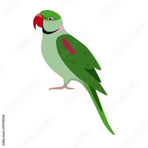 Alexandrine parrot icon in flat style © ekazansk