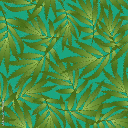 Marigold Leaves - Tagetes o...