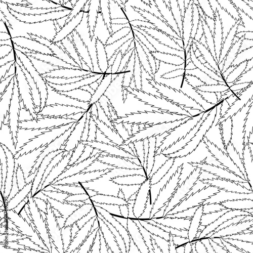 Marigold Leaves Outline - T...
